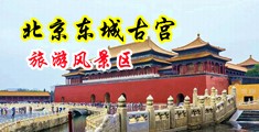 色逼逼插逼逼中国北京-东城古宫旅游风景区